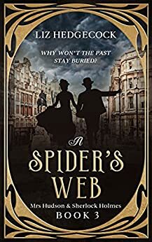 A Spider's Web by Liz Hedgecock
