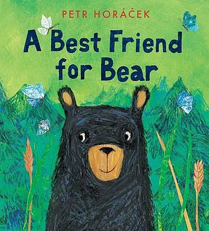 A Best Friend for Bear by Petr Horáček, Petr Horáček