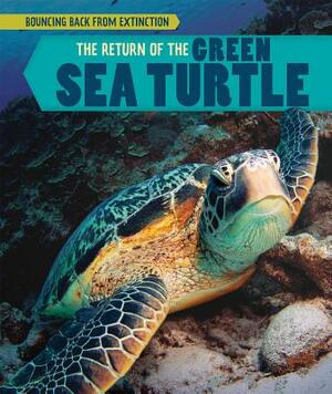 The Return of the Green Sea Turtle by Melissa Rae Shofner