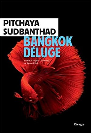 Bangkok Déluge by Pitchaya Sudbanthad