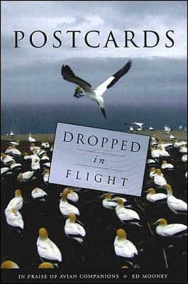 Postcards Dropped in Flight: In Praise of Avian Companions by Edward F. Mooney