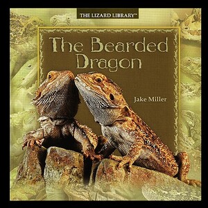 Bearded Dragon by Jake Miller