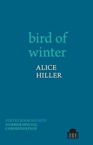Bird of Winter by Alice Hiller