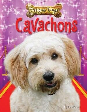 Cavachons by Ruth Owen