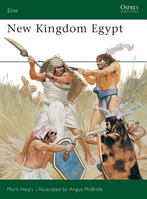 New Kingdom Egypt by Mark Healy