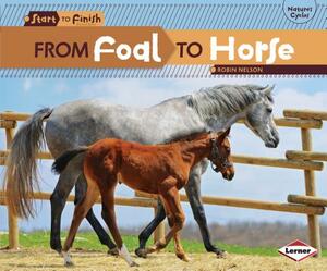 From Foal to Horse by Robin Nelson