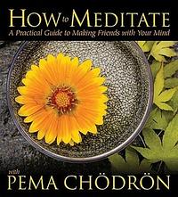 How to Meditate with Pema Chödrön: A Practical Guide to Making Friends with Your Mind by Pema Chödrön