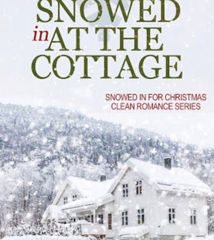 Snowed In at the Cottage by Catelyn Meadows