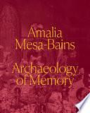 Amalia Mesa-Bains: Archaeology of Memory by Maria Esther Fernández, Laura E. Pérez