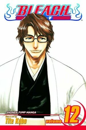 Bleach Vol. 12: Flower on the Precipice by Tite Kubo