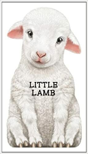 Little Lamb by Giovanni Caviezel, Laura Rigo