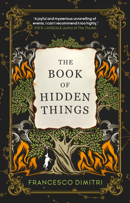 The Book of Hidden Things by Francesco Dimitri