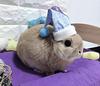 tiredrabbit's profile picture