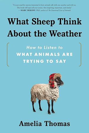 What Sheep Think about the Weather: How to Listen to What Animals Are Trying to Say by Amelia Thomas