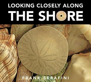 Looking Closely along the Shore by Frank Serafini