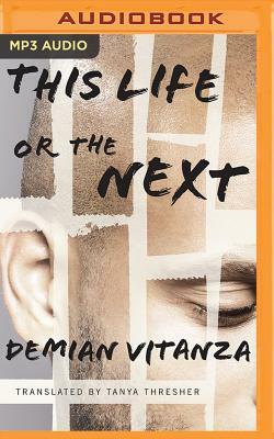 This Life or the Next by Demian Vitanza