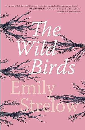 The Wild Birds by Emily Strelow