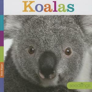 Koalas by Kate Riggs