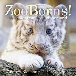 Zooborns!: Zoo Babies from Around the World by Andrew Bleiman, Chris Eastland