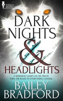 Dark Nights and Headlights by Bailey Bradford