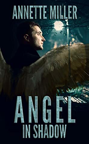 Angel in Shadow (Angel Haven, #4) by Annette Miller