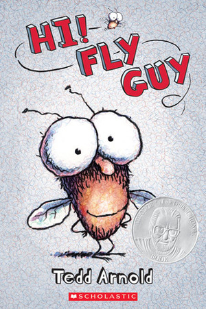 Hi! Fly Guy by Tedd Arnold