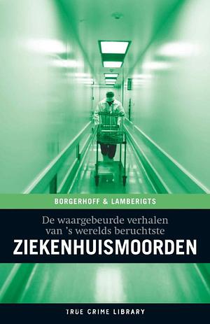 Ziekenhuismoorden by Kristof Lamberigts, Steven Borgerhoff