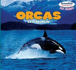 Orcas by Sam Drumlin