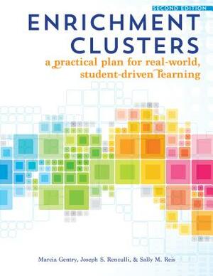 Enrichment Clusters: A Practical Plan for Real-World, Student-Driven Learning by Marcia Gentry, Sally Reis, Joseph Renzulli