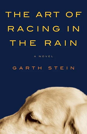 The Art of Racing in the Rain by Garth Stein