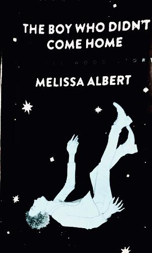 The Boy Who Didn't Come Home by Melissa Albert