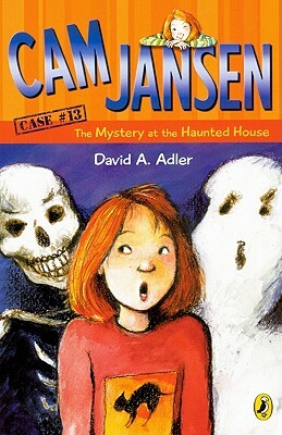 The Mystery at the Haunted House by David A. Adler
