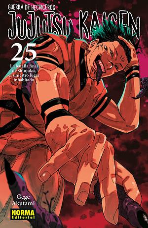 Jujutsu Kaisen vol. 25: La batalla final de Shinjuku, el siniestro lugar inhabitado by Gege Akutami