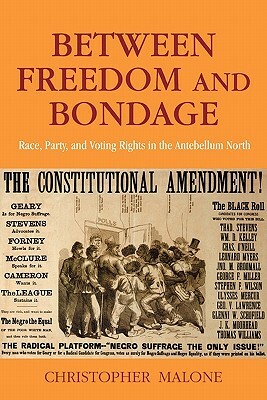 Between Freedom and Bondage: Race, Party, and Voting Rights in the Antebellum North by Christopher Malone