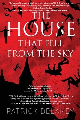 The House that Fell from the Sky by Patrick Delaney