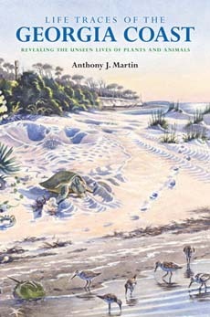 Life Traces of the Georgia Coast: Revealing the Unseen Lives of Plants and Animals by Anthony J. Martin