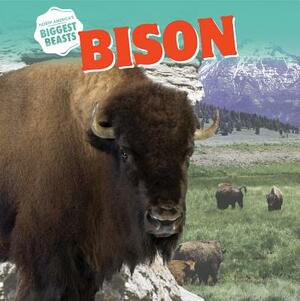 Bison by David Anthony