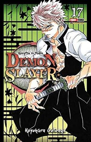 Demon Slayer, Vol. 17 by Koyoharu Gotouge