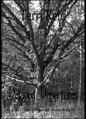 Delayed Departures by Terri Reid