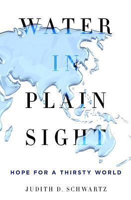 Water in Plain Sight: Hope for a Thirsty World by Judith D. Schwartz