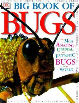 Big Book of Bugs by Theresa Greenaway