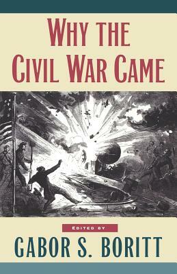 Why The Civil War Came by Gabor S. Boritt