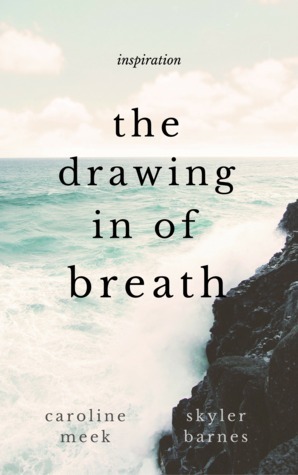 The Drawing in of Breath by Caroline D. Meek, Skyler Arden Barnes