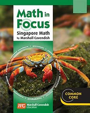 Math in Focus: Singapore Math: Common Core Student Assessment Workbook Grades 7 by 
