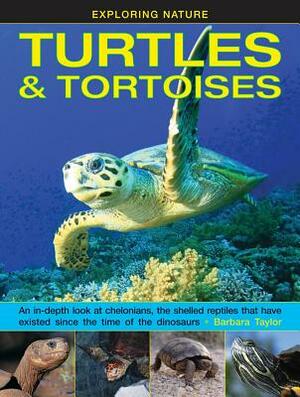 Exploring Nature: Turtles & Tortoises: An In-Depth Look at Chelonians, the Shelled Reptiles That Have Existed Since the Time of the Dinosaurs by Barbara Taylor