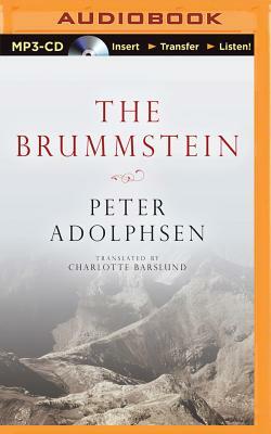 The Brummstein by Peter Adolphsen