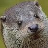 bigotterbooks's profile picture