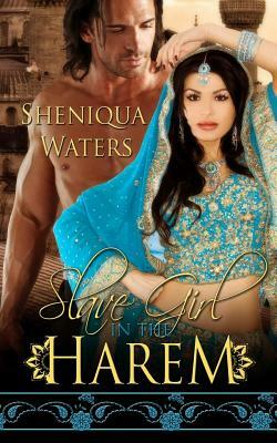 Slave Girl in the Harem by Sheniqua Waters