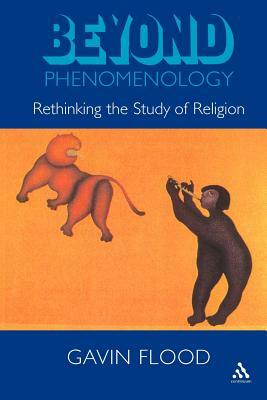 Beyond Phenomenology by Gavin Flood