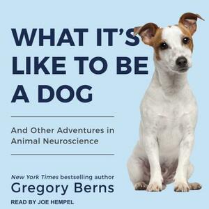 What It's Like to Be a Dog: And Other Adventures in Animal Neuroscience by Gregory Berns